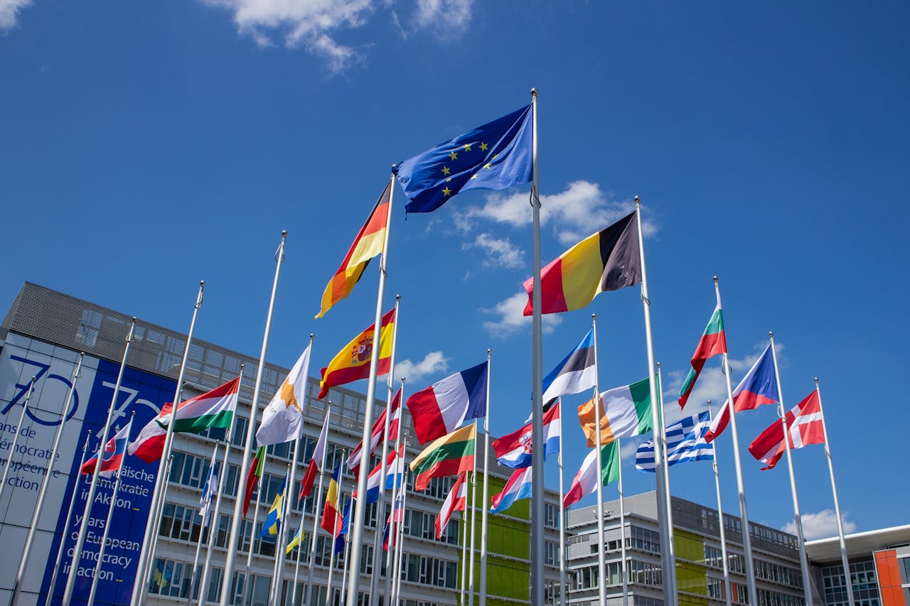 Healing the Rupture: An Organic Critique of Regional Reintegration in the Post-Yugoslav Space 