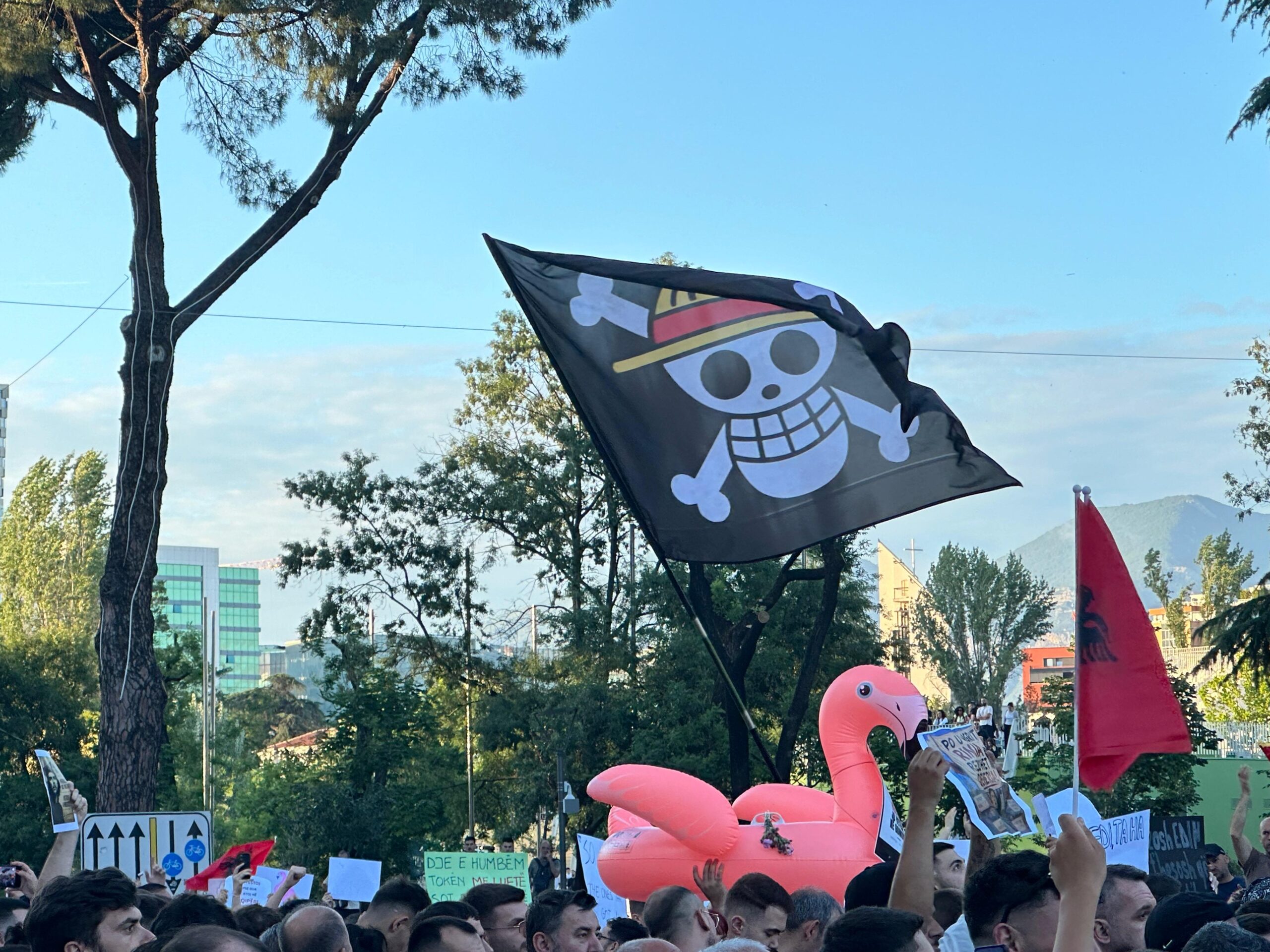 Flamingo Revolution Chronicles – Week 6: How the protest is changing, from flamingos to a fatigue that refuses to give in